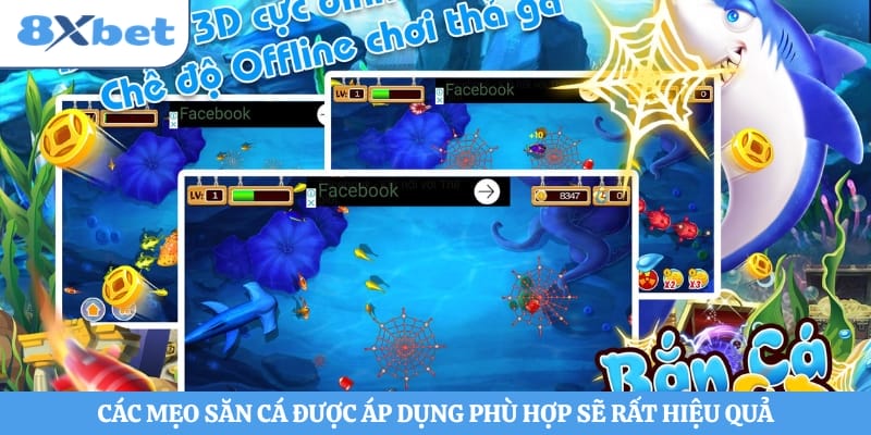 Các mẹo săn cá được áp dụng phù hợp sẽ rất hiệu quả