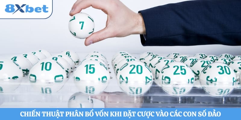 Chiến thuật phân bổ vốn khi đặt cược vào các con số đảo