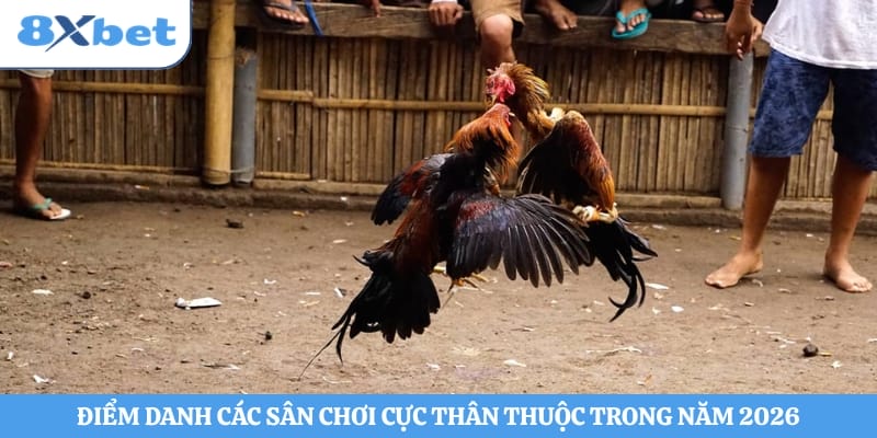 Điểm danh các sân chơi cực thân thuộc trong năm 2026