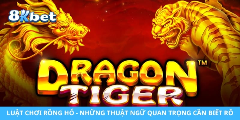 Luật Chơi Rồng Hổ - Những Thuật Ngữ Quan Trọng Cần Biết Rõ