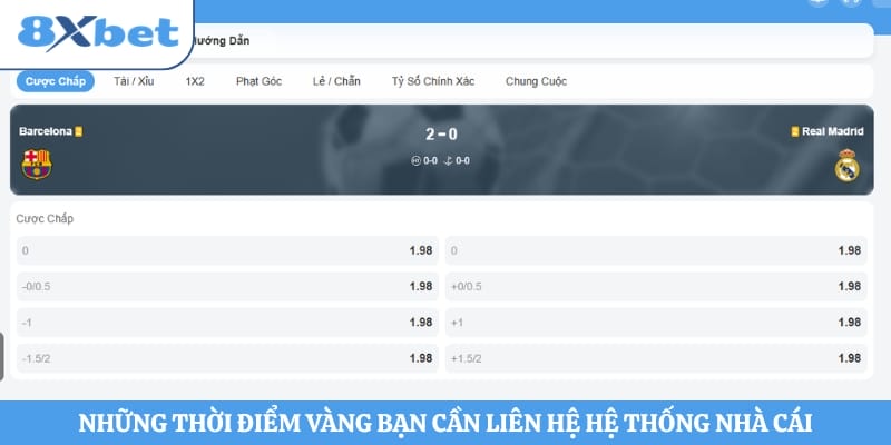 Những thời điểm vàng bạn cần liên hệ hệ thống nhà cái