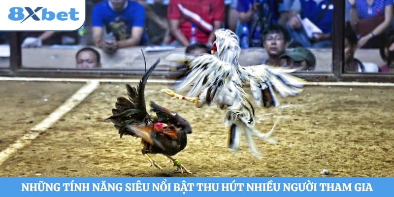 Những tính năng siêu nổi bật thu hút nhiều người tham gia 