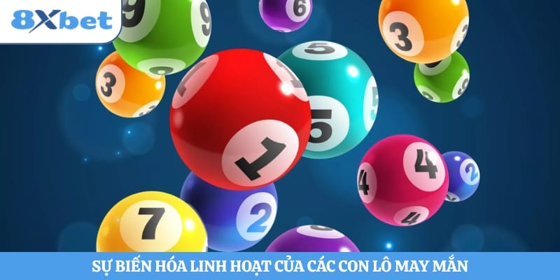 Sự biến hóa linh hoạt của các con lô may mắn